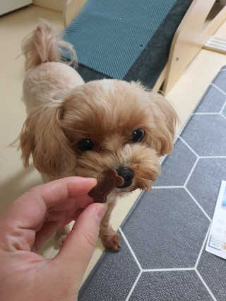 모떼네님이 올린 리뷰 사진 4