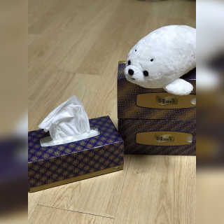 잘풀리는집 부드러운 모이스처 보습 미용 티슈 230매 — 5점을 준 리뷰어가 2020년 9월 올린 사용 사진