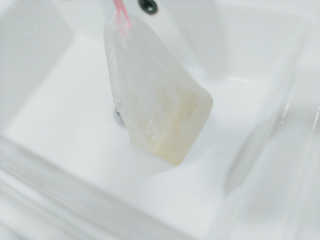 봉봉프랜즈 어린이,초등학생 머리냄새 NO~ 봉봉 샴푸바+린스바세트 — 5점을 준 리뷰어가 2020년 6월 올린 사용 사진