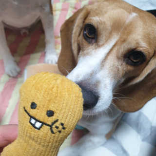 beaglelove님이 올린 리뷰 사진 1