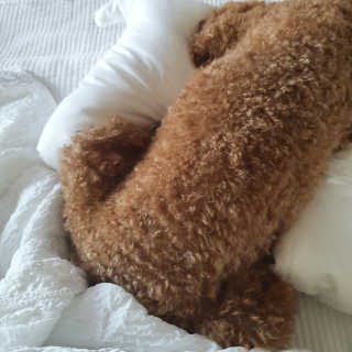 콩콩이님이 올린 리뷰 사진 4