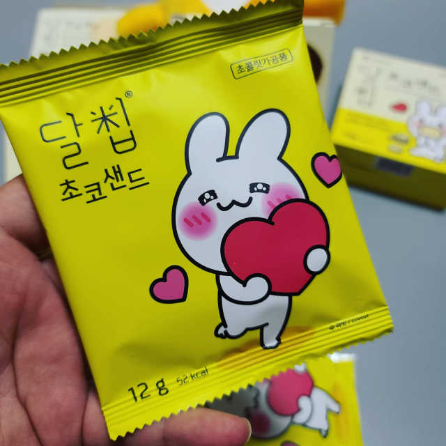 달칩 초코샌드 리뷰 사진