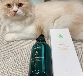 아카이아 이아 A3 헤어스캘프팩 500ml — 5점을 준 리뷰어가 2020년 6월 올린 사용 사진
