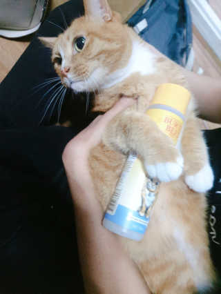 뚜갱님이 올린 리뷰 사진 4
