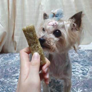솜희님이 올린 리뷰 사진 2