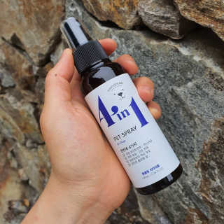 강아지스토리 포인원 모이스처 미스트 100ml — 5점을 준 리뷰어가 2020년 6월 올린 사용 사진