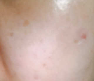 뿌용이님이 올린 리뷰 사진 4