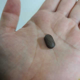 조은약초 꿀잠큐어 제주 감태추출물 감태정 600mg — 5점을 준 리뷰어가 2020년 7월 올린 사용 사진