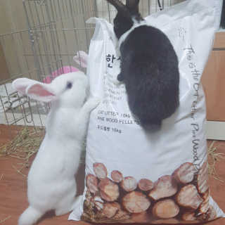 지니야님이 올린 리뷰 사진 1