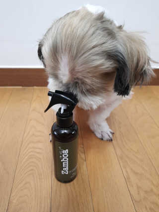 민우다빈이맘님이 올린 리뷰 사진 4
