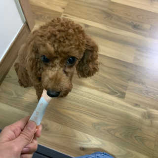 KellyChoi님이 올린 리뷰 사진 2