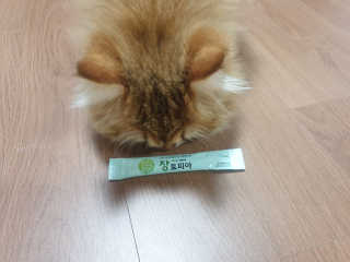 으나님이 올린 리뷰 사진 1