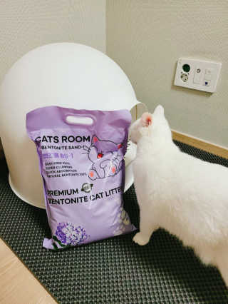 겟플렉스 켓플렉스 캣츠룸BS-1 고양이모래 4kg — 5점을 준 리뷰어가 2020년 12월 올린 사용 사진