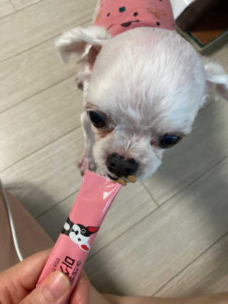 인절미인❣️님이 올린 리뷰 사진 4