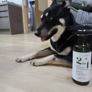 강아지스토리 2in1 강아지 애견 탈취제 400ml — 5점을 준 리뷰어가 2020년 5월 올린 사용 사진