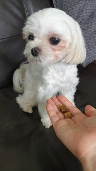 leelee님이 올린 리뷰 사진 3