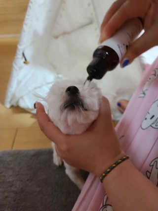 송이송이님이 올린 리뷰 사진 2