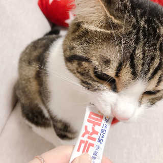 Hpy님이 올린 리뷰 사진 1
