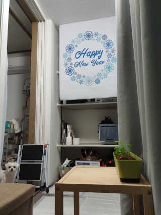 뽀오오옹님이 올린 리뷰 사진 2
