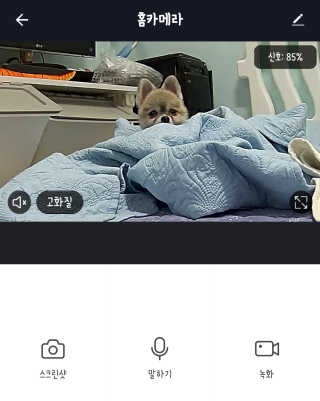 헤이홈 스마트 홈카메라 + 헤이베어 캐릭터커버 — 5점을 준 리뷰어가 2020년 5월 올린 사용 사진