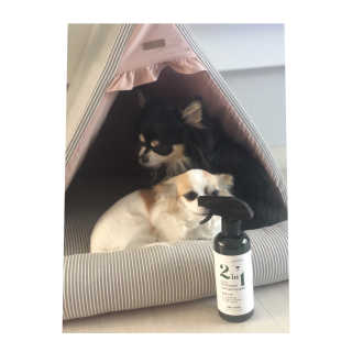 은쓸님이 올린 리뷰 사진 3