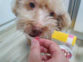 Eileen님이 올린 리뷰 사진 2