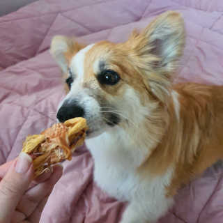 환희님이 올린 리뷰 사진 4