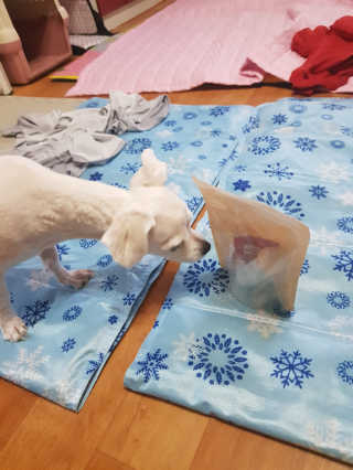하연맘님이 올린 리뷰 사진 2