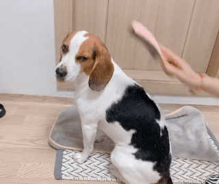 콩비지맘님이 올린 리뷰 사진 2