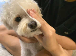 angelhyoni님이 올린 리뷰 사진 3