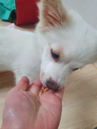킹유쥬님이 올린 리뷰 사진 4
