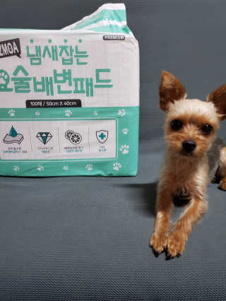 조이님이 올린 리뷰 사진 1