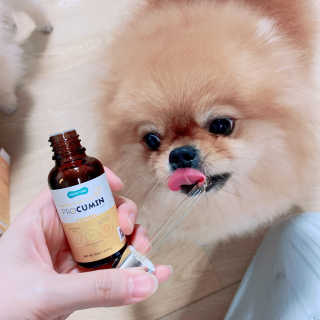 현둥잉님이 올린 리뷰 사진 3