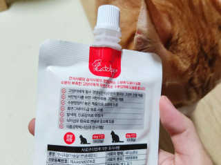 𝒔𝒂𝒊𝒆_𝒍𝒐𝒈님이 올린 리뷰 사진 3