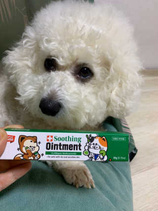 써니님이 올린 리뷰 사진 1