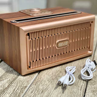 SEVIZ GOLD20W 레트로 블루투스 스피커 — 5점을 준 리뷰어가 2020년 7월 올린 사용 사진
