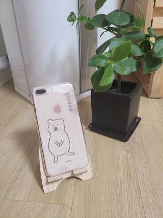 알파카케이스 라인 쿼카 투명 젤리 폰케이스 — 5점을 준 리뷰어가 2020년 6월 올린 사용 사진