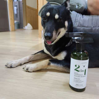 강아지스토리 2in1 강아지 애견 탈취제 400ml — 5점을 준 리뷰어가 2020년 5월 올린 사용 사진