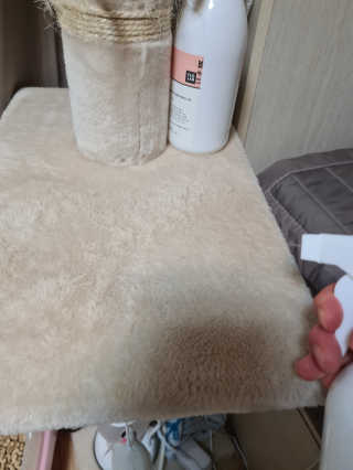 SP9 스프레이형 프리미엄 살균소독제 500ml+100ml — 5점을 준 리뷰어가 2020년 12월 올린 사용 사진