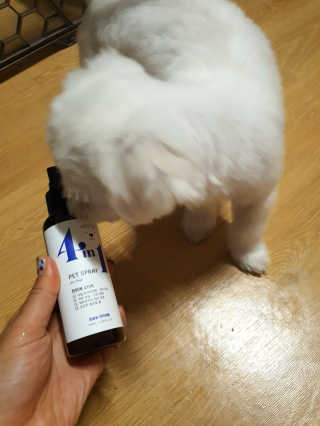 미진냥님이 올린 리뷰 사진 3