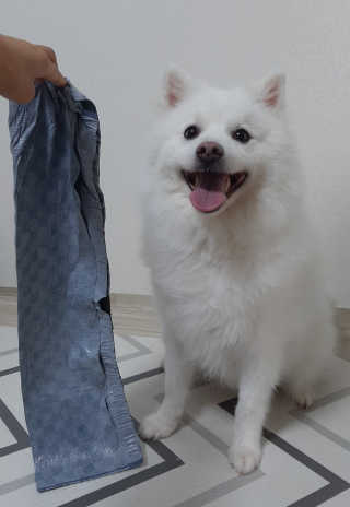 pie_chui님이 올린 리뷰 사진 3