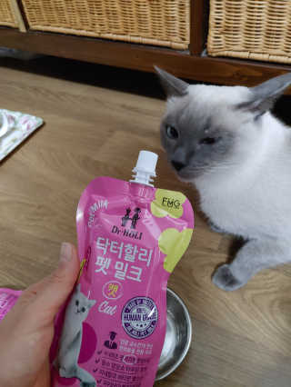 만만이집사님이 올린 리뷰 사진 2