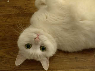 clynnlife님이 올린 리뷰 사진 3