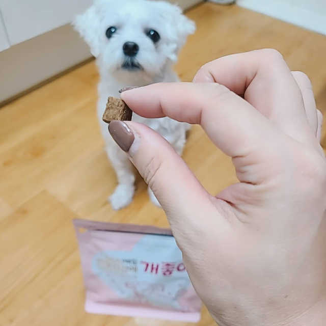 천연단백질 관절건강에 개좋아 리뷰 사진