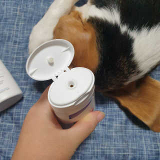 beaglelove님이 올린 리뷰 사진 3