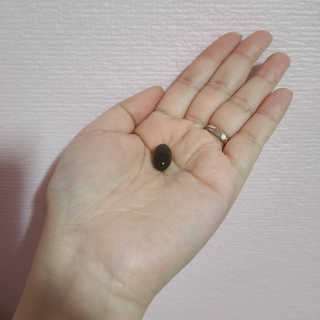 옌잉님이 올린 리뷰 사진 3