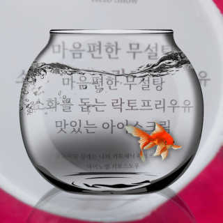 마이노멀 키토스노우 2개 Set  - 바닐라/초코/그린티 3종 중 선택 — 5점을 준 리뷰어가 2020년 7월 올린 사용 사진