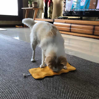 지애님이 올린 리뷰 사진 1