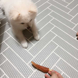 꾸눙맘님이 올린 리뷰 사진 2