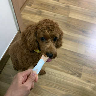 KellyChoi님이 올린 리뷰 사진 1
